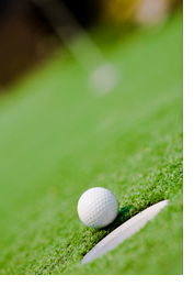 TearDrop Putters